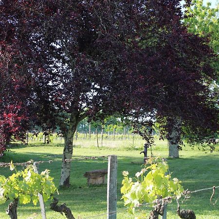 La Vigneraie De Laura Panzió Sainte-Colombe  Kültér fotó